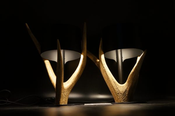 Lampen Set Hirsch – Bild 4