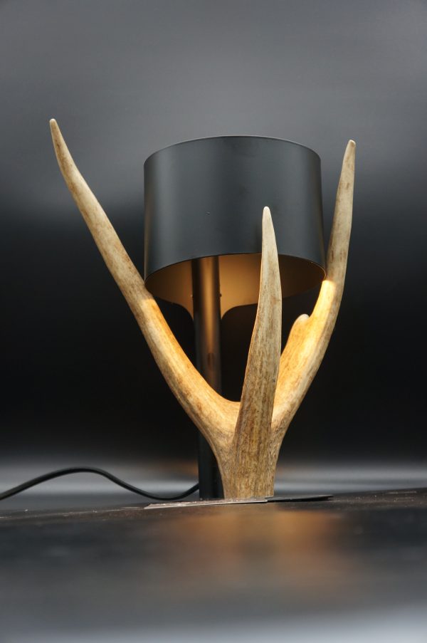 Lampen Set Hirsch – Bild 13