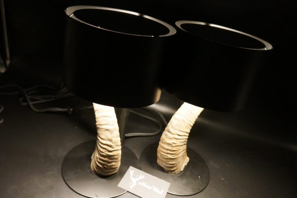 Lampen Set Mufflon – Bild 3