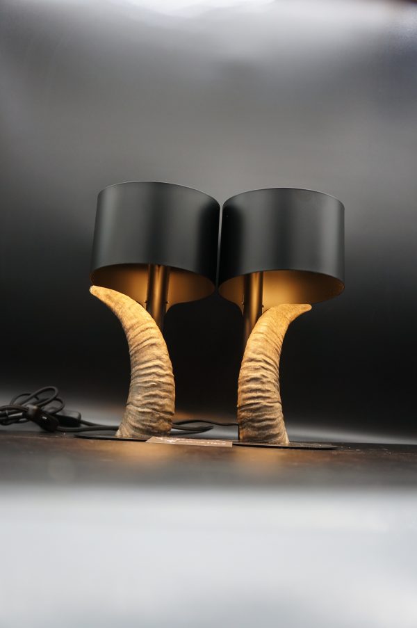 Lampen Set Mufflon – Bild 5