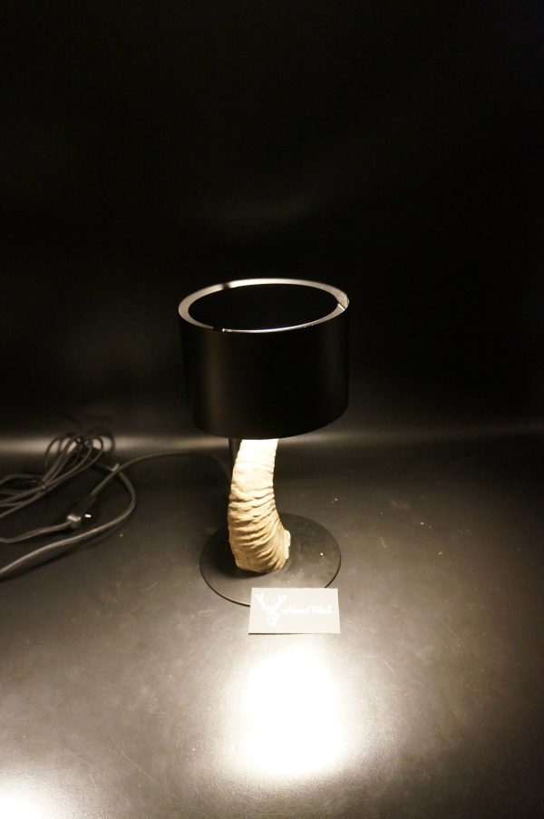 Lampen Set Mufflon – Bild 6