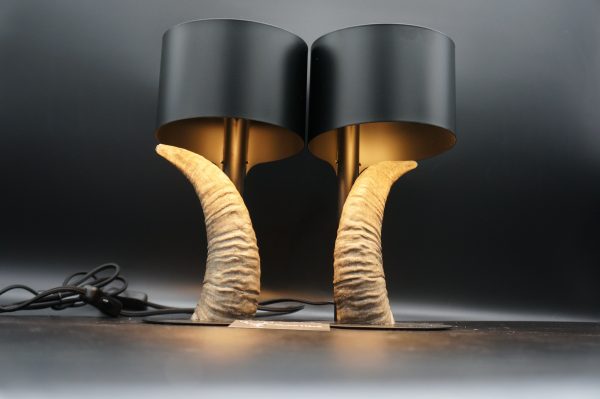 Lampen Set Mufflon – Bild 12