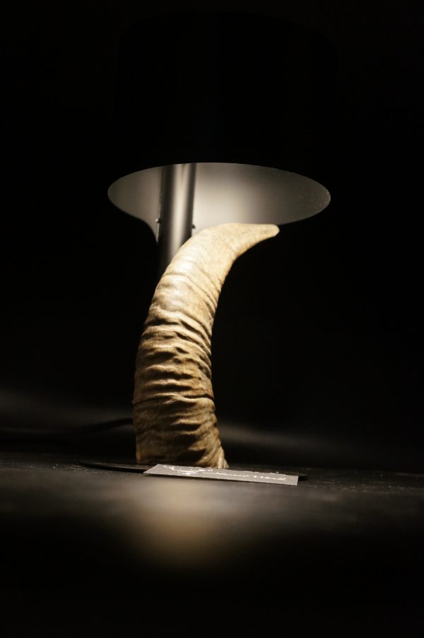 Lampen Set Mufflon – Bild 4