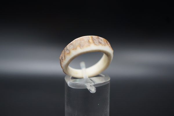 Hirschhornring 17mm – Bild 4