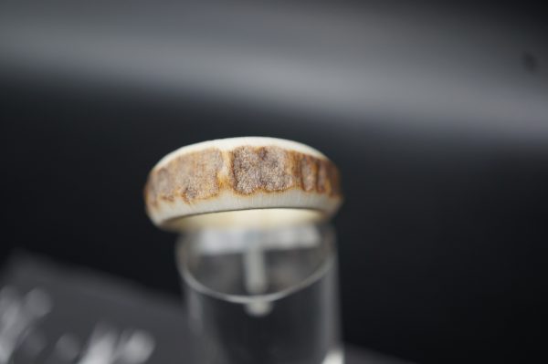 Hirschhornring 17mm – Bild 2