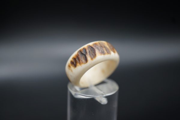Ring Hirschhorn 15,5mm