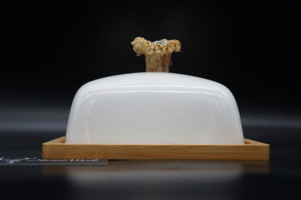 Butterdose Reh – Bild 2