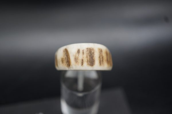 Ring Hirschhorn 20,5mm – Bild 3