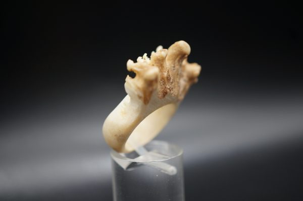 Ring Rehrose 18mm
