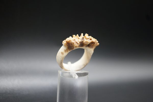 Ring Rehrose 18mm – Bild 4