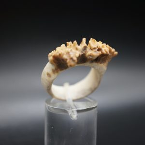 Ring Rehrose 18mm