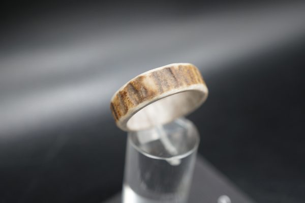 Hirschhornring 21mm – Bild 3