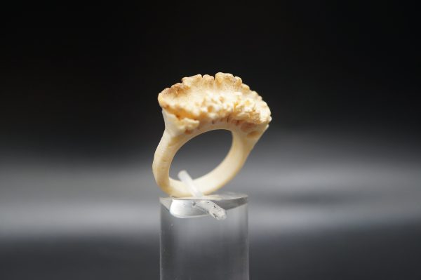 Ring Rehrose 18mm – Bild 3