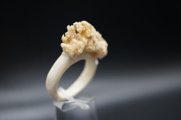 Ring Rehrose 21mm – Bild 4