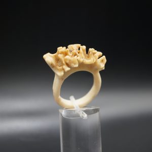 Ring Rehrose 19mm
