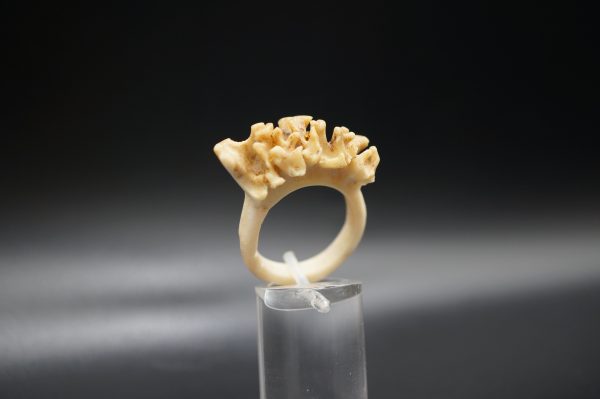 Ring Rehrose 19mm