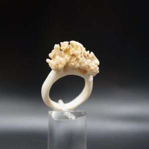 Ring Rehrose 21mm