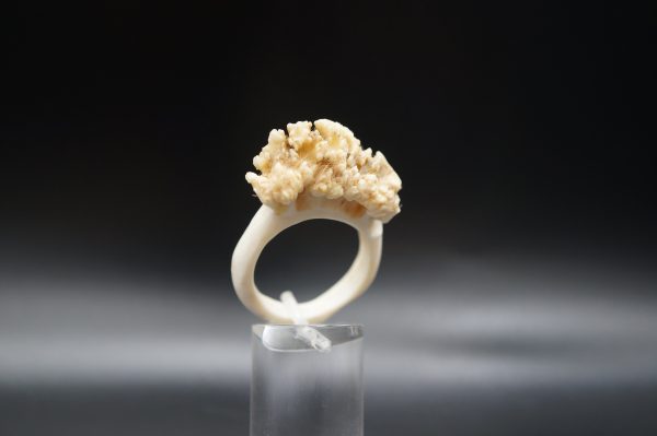 Ring Rehrose 21mm