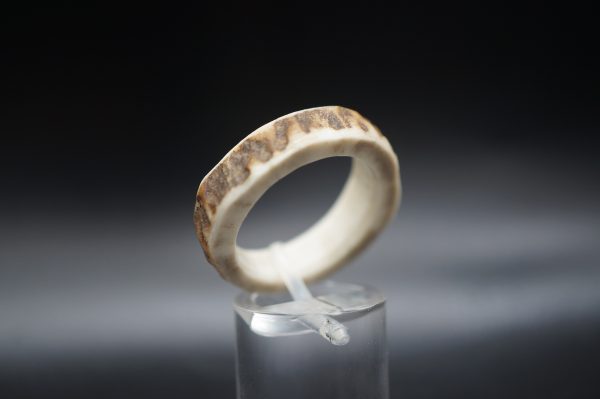 Hirschhornring 20mm – Bild 4