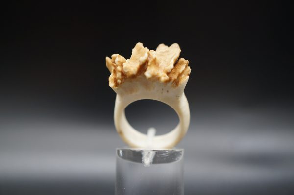 Ring Rehrose 17mm