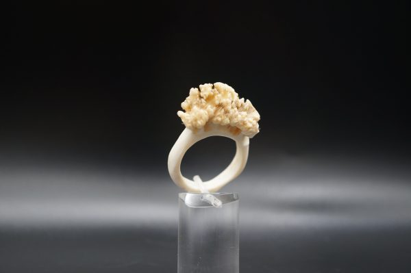 Ring Rehrose 21mm – Bild 3