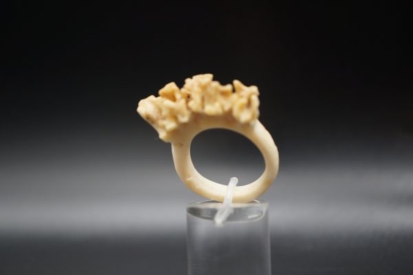 Ring Rehrose 19mm – Bild 2