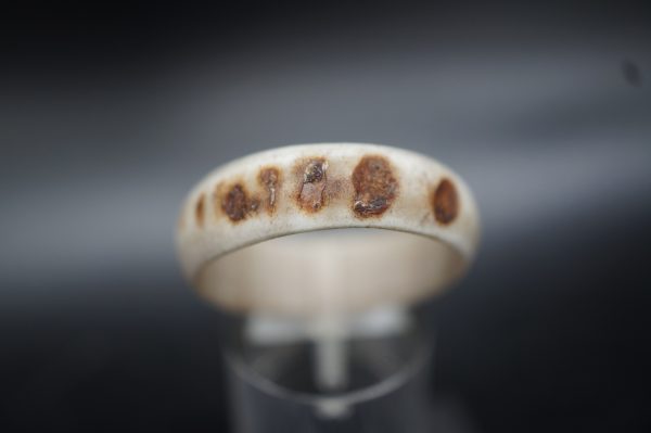 Ring Hirschhorn 23mm – Bild 2