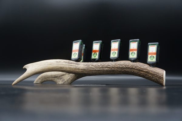 Jägermeister Bar 6er – Bild 6