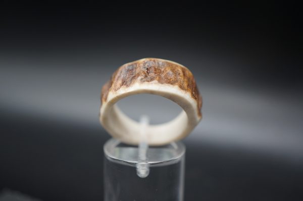 Hirschhornring 18,5mm – Bild 5
