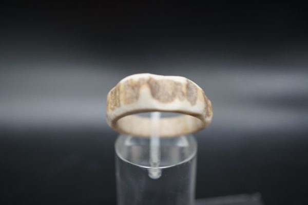 Hirschhornring 19mm – Bild 3