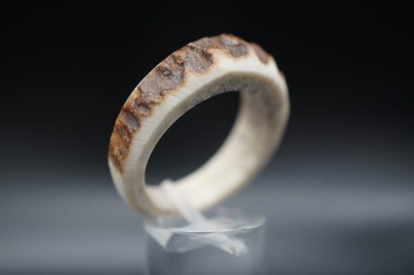 Hirschhornring 23mm – Bild 3