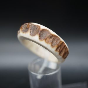 Hirschhornring 23mm