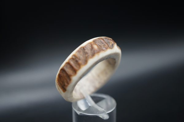 Hirschhornring 23mm