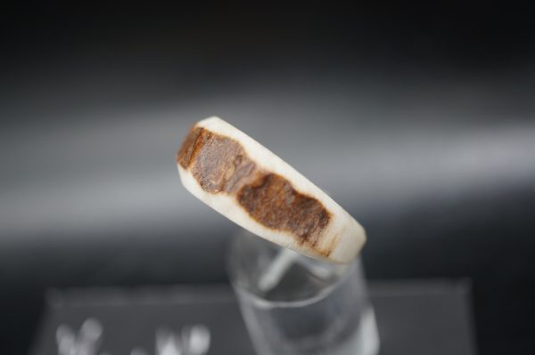 Hirschhornring 21mm – Bild 6