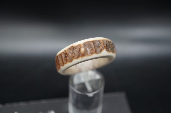 Hirschhornring 23mm – Bild 2