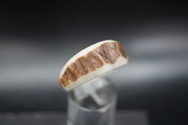 Hirschhornring 21mm – Bild 2