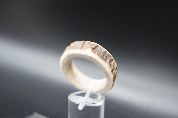 Hirschhornring 23mm – Bild 3