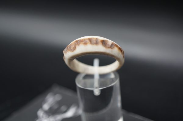 Hirschhornring 20mm – Bild 3