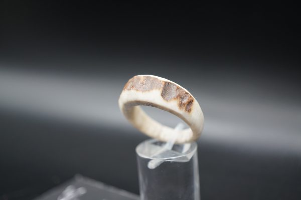 Hirschhornring 21mm – Bild 2