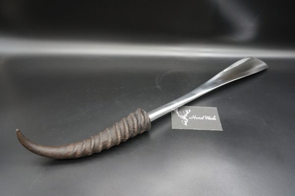 Schuhlöffel Springbock – Bild 4