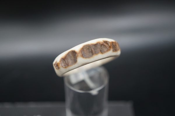 Hirschhornring 22mm – Bild 4