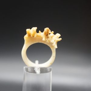 Ring Rehrose 19mm