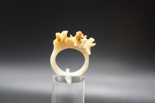 Ring Rehrose 19mm