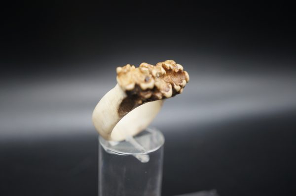 Ring Rehrose 18mm – Bild 3