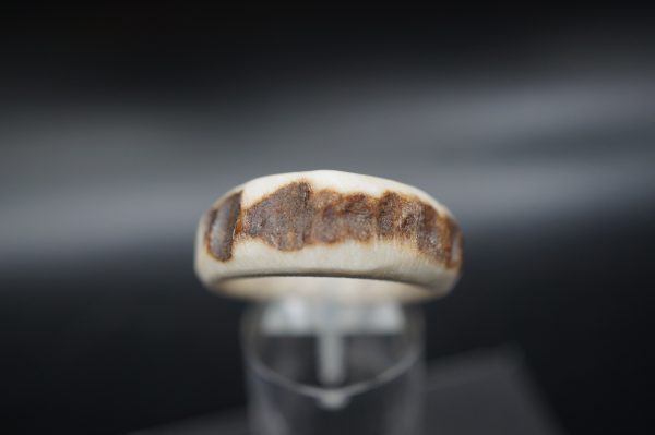 Hirschhornring 21mm – Bild 2