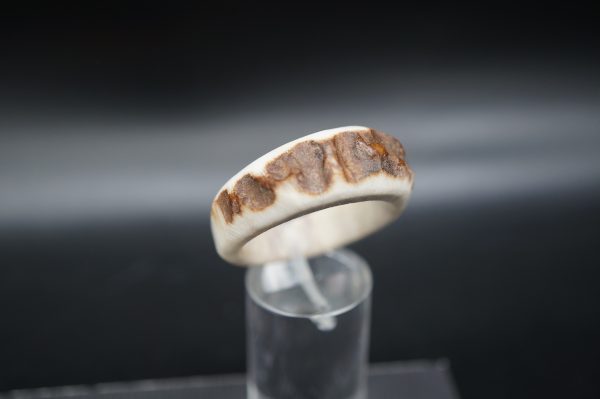 Hirschhornring 23mm