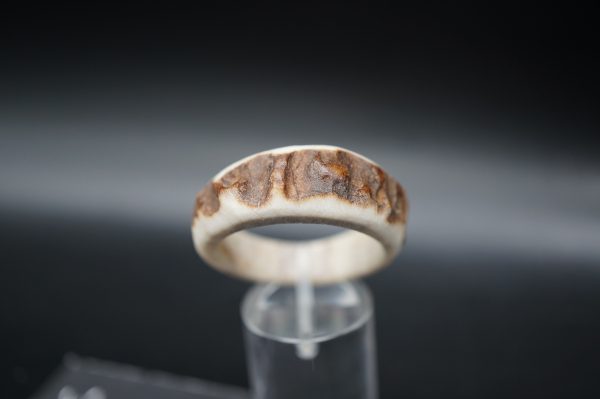 Hirschhornring 23mm – Bild 2