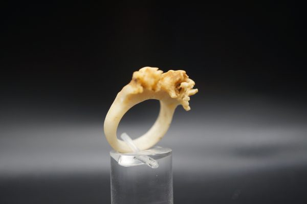 Ring Rehrose 19mm – Bild 4