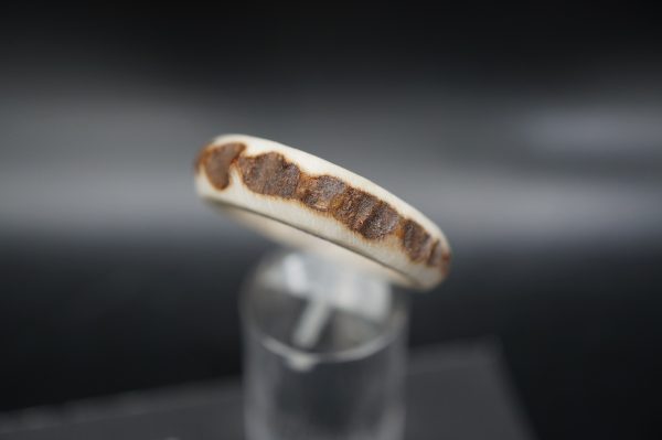 Hirschhornring 22mm – Bild 5