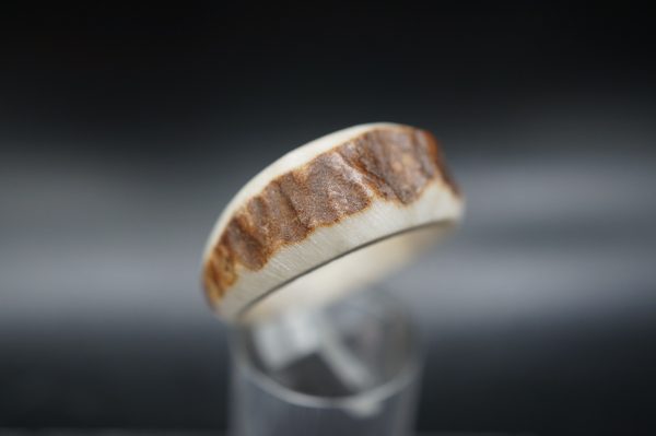 Hirschhornring 21mm